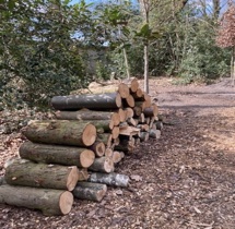 plaatje: Inspiratie dag rondom het thema �Duurzaamheid� op de�begraafplaats Bosdrift te Hilversum.  