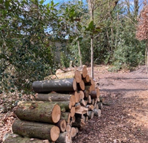 plaatje: Offici�le start werkzaamheden aanleg natuurbegraafplaats Noorderbegraafplaats Hilversum